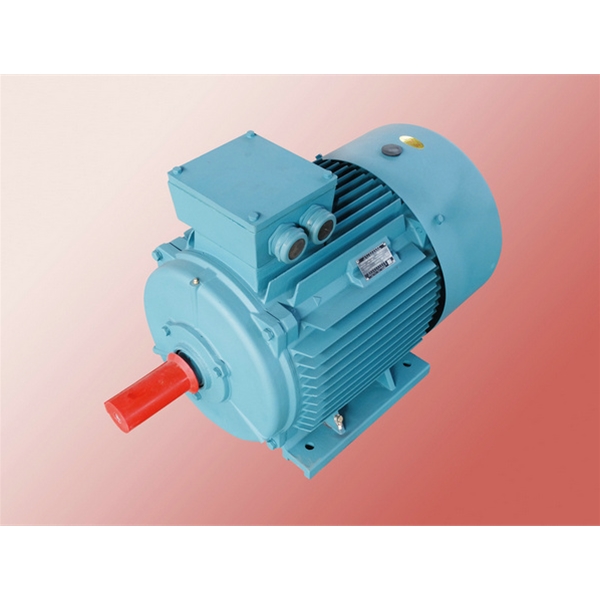 Y-H系列船用三相異步電動機